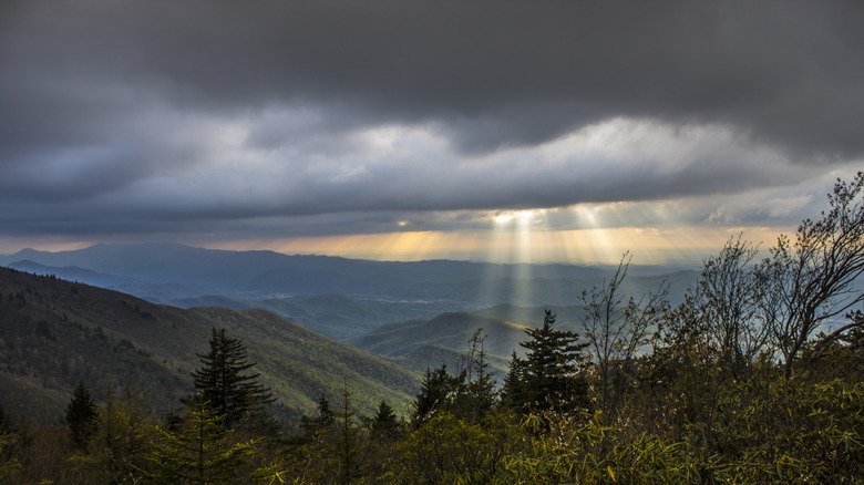 View from Unaka Mountain Overlook