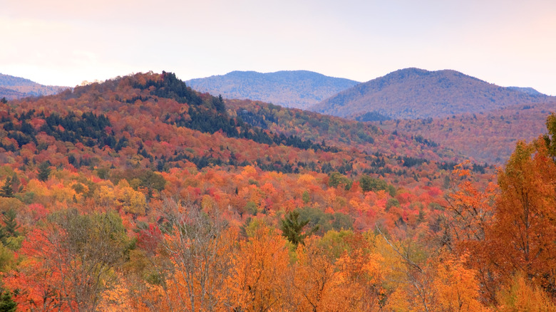 Views of fall foliage in the Adirondack Mountains