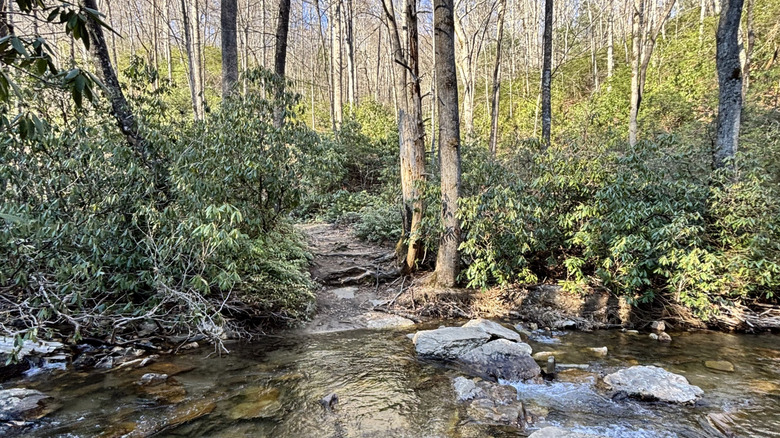 A creek on the Twin Falls hiking trail in the Pisgah Forest near Canton, North Carolina