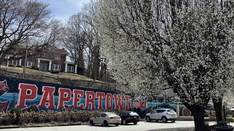 A mural in a parking area near downtown Canton, North Carolina