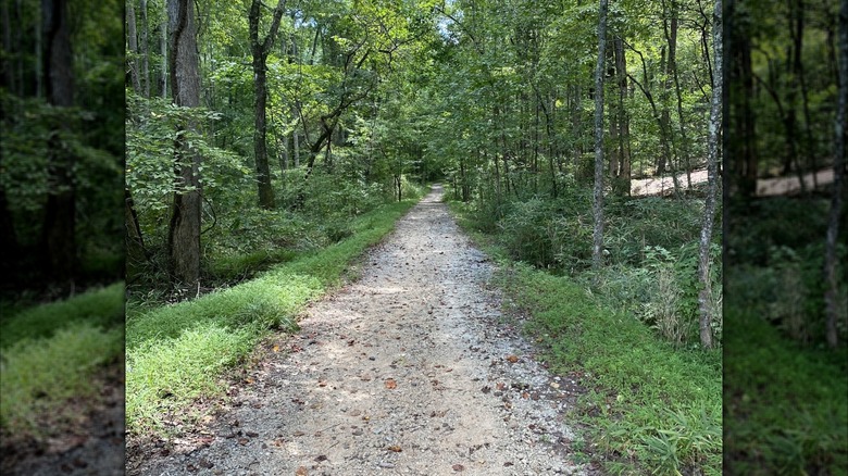A walking trail at Bear Creek Nature Center in Chattahoochee Hills, Georgia