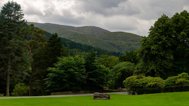 A view of the Mournes from Tollymore Forest