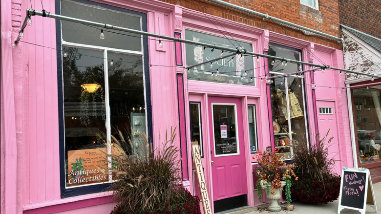 The pink exterior of The Vintage Society with potted plants and a sign for antiques outside.