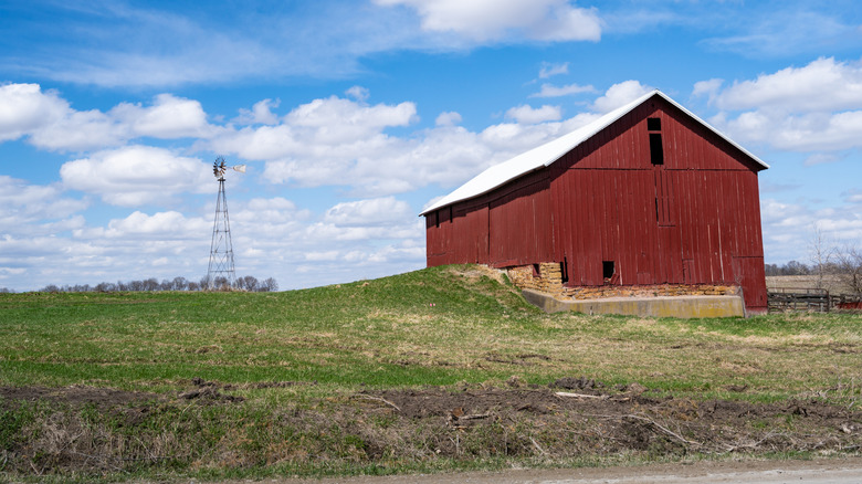 A red barn and windmill sitting on rural farmland just outside of Kalona, Iowa.