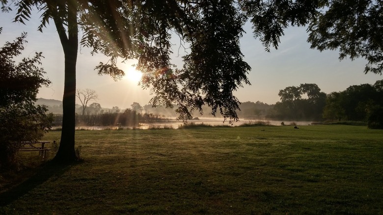 Sunlight shines through tree leaves as mist floats over Sag Quarries