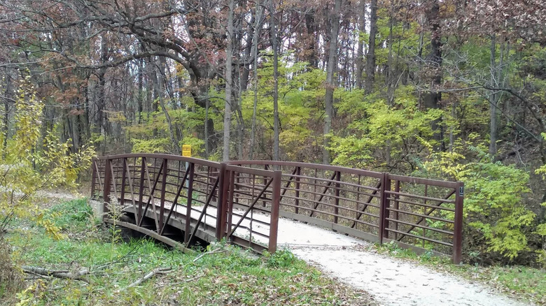 A bridge in Cap Sauers Holding Nature Preserve, Illinois
