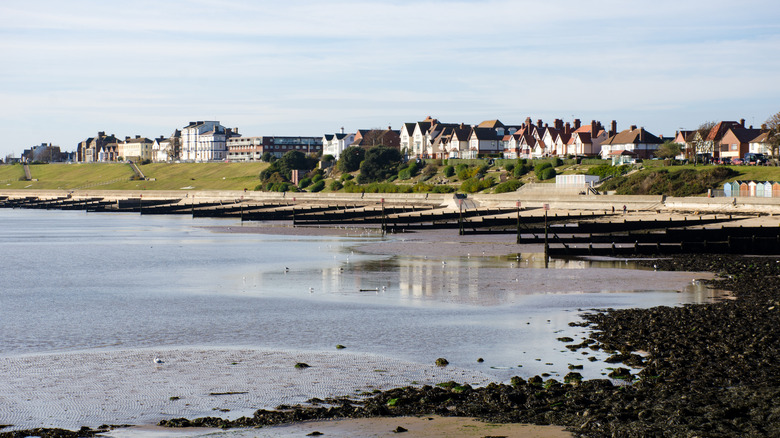Calm seawater and a grassy bank with houses on top of it in Harwich, England