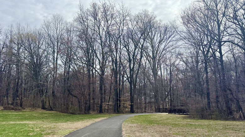 Paved path that leads into the forest at Walker Mill Regional Park