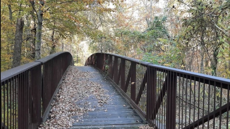 A trail with railings goes through the forest at Walker Mill Regional Park