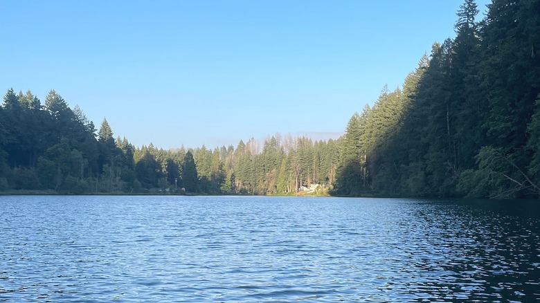 A view of Leaburg Lake, a reservoir near Eugene, Oregon