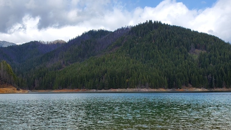 Leaburg Lake near Eugene, Oregon, with a view of the forested hillside in the background