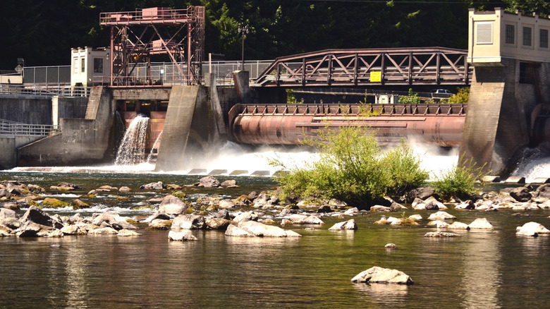 The dam at Leaburg Lake near Eugene, Oregon