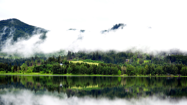 The glassy surface of Cottage Grove Reservoir near Eugene, Oregon