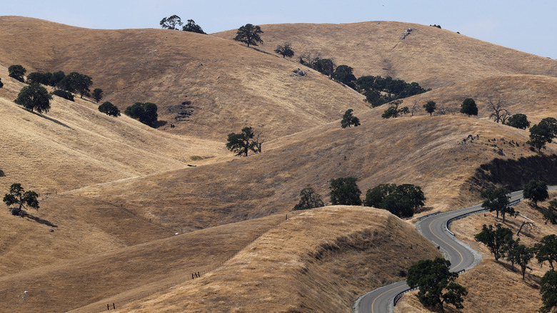 ﻿﻿Rolling hills of Raymond, California