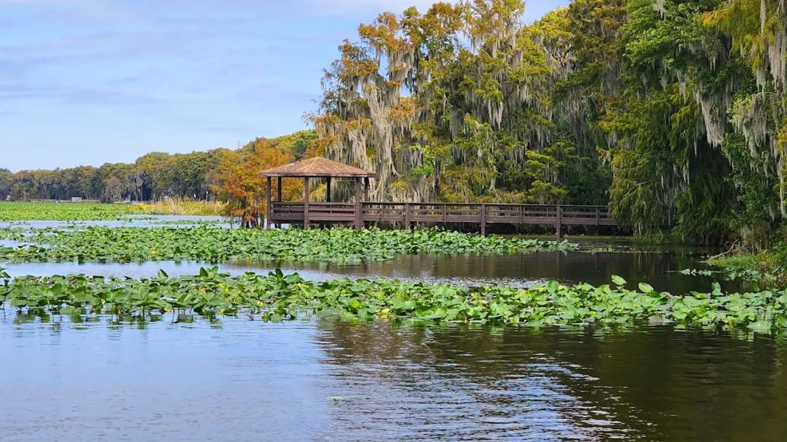Outside Gainesville Is Florida's Dreamy Lake Escape With Pretty Cypress Trees, Fishing, And Boating