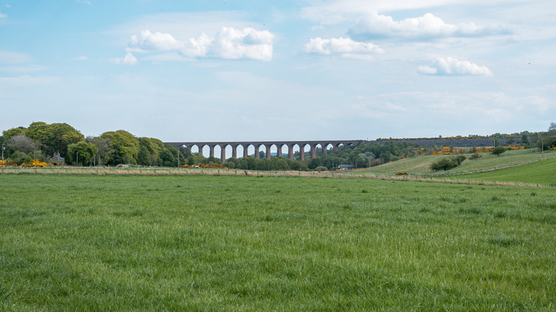 An aqueduct spanning the green Colne Valley Regional Park