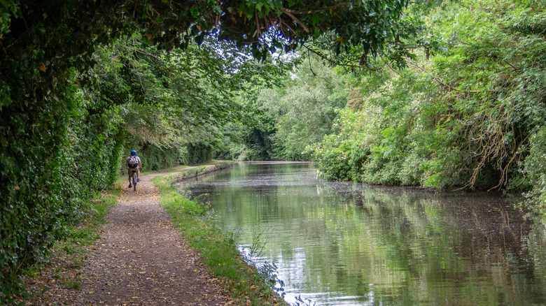 Cyclist on a riverside path in Colne Valley Regional Park