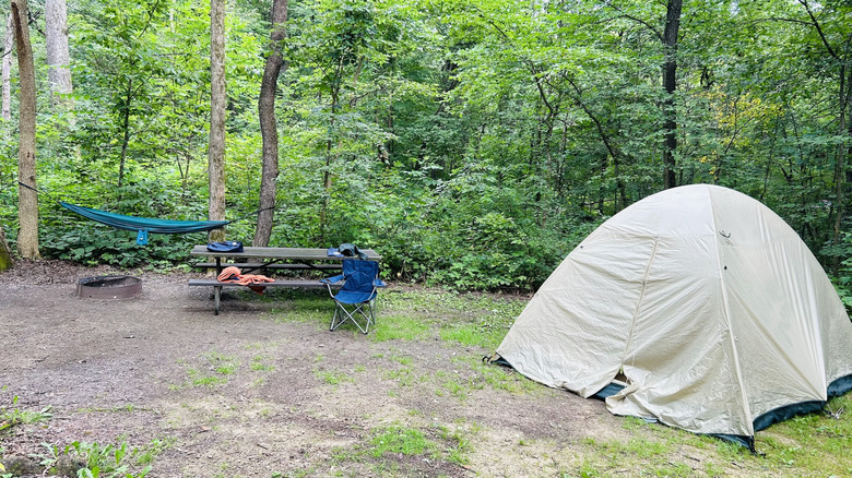 Tent and chairs and hammock set up among the trees at a campsite in Lake Kegonsa State Park