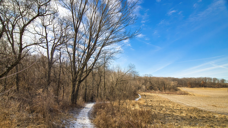 Hiking in the Midwest