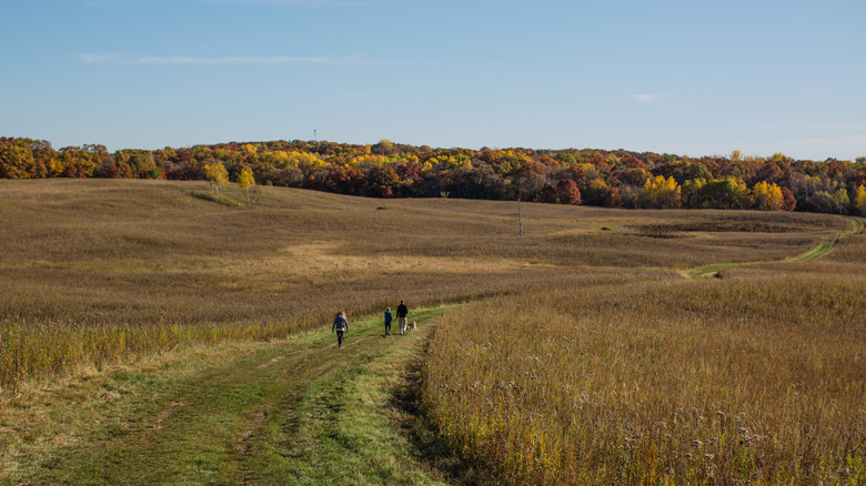 Grassy trail in Savage, Minnesota, with three people and a dog in the distance during the day.