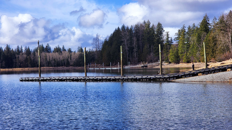 The public boat launch extends into the water at Alder Lake, in Elbe, Washington.