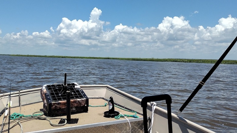 Fishing gear on boat navigating the bayou