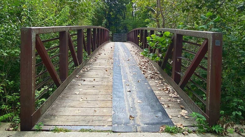 A view across a footbridge in Gebhard Woods State Park, Illinois