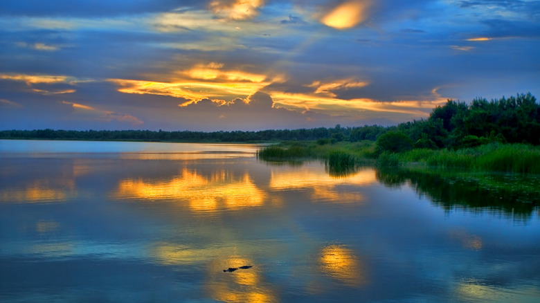 Water in Immokalee, FL