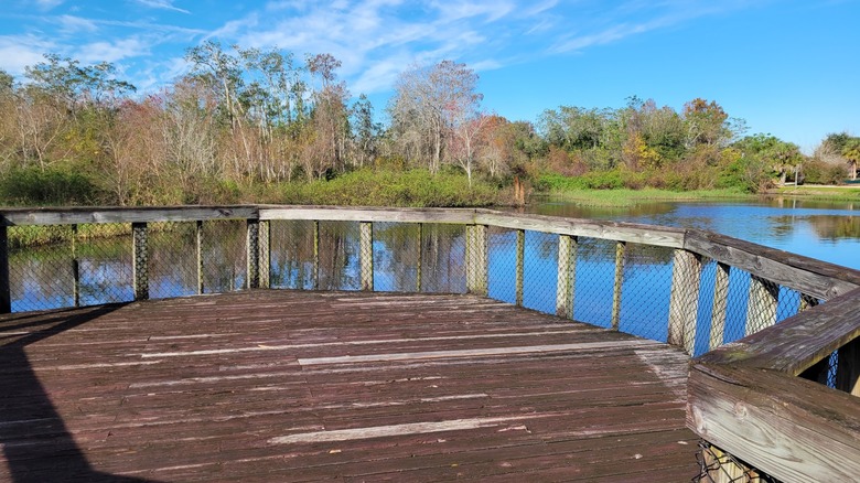 Observation deck overlooking tree-lined body of water at Peghorn Nature Park, Florida