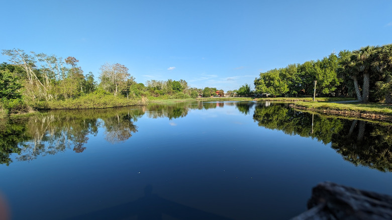 Peghorn Nature Park in St. Cloud, Florida