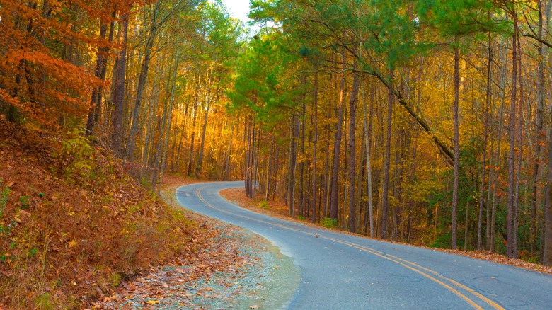 The road to Jordan Lake in North Carolina