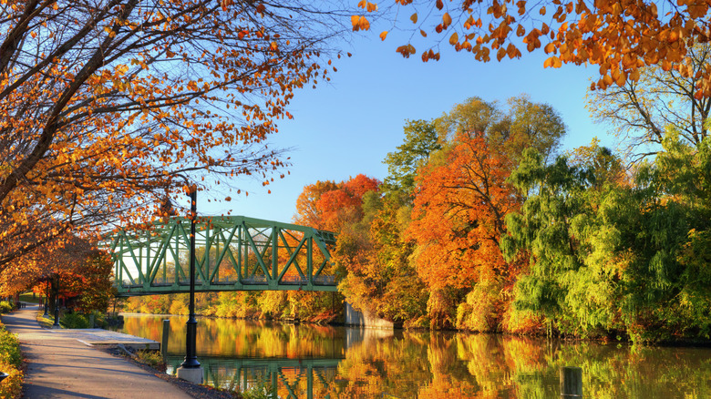 Fall foliage along Erie Canal