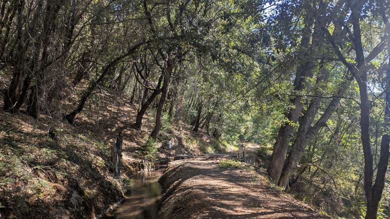 View of Cascade Canal Trail