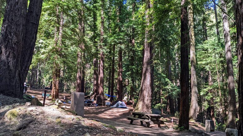 Tents in Sanborn County Park.