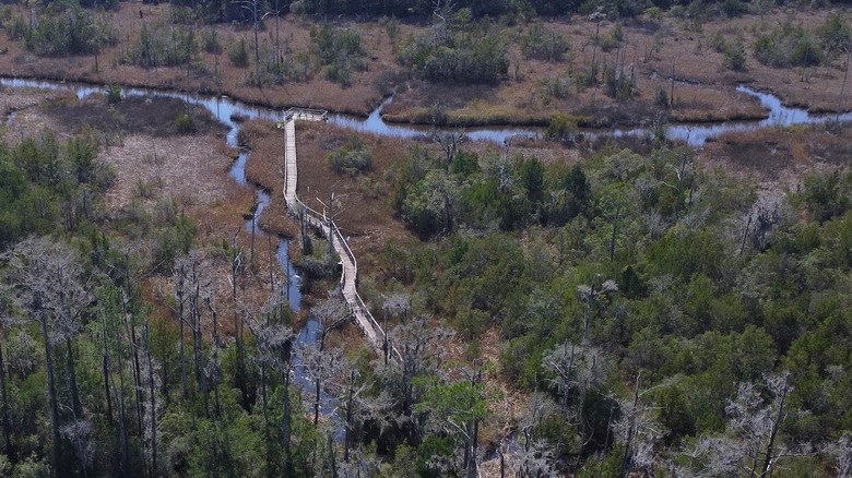 Aerial view of a boardwalk cutting through the landscape at Cay Creek Wetlands Interpretive Center in Georgia