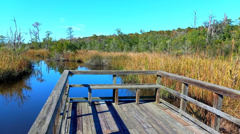 View of the landscape from the boardwalk at Cay Creek Wetlands Interpretive Center in Georgia