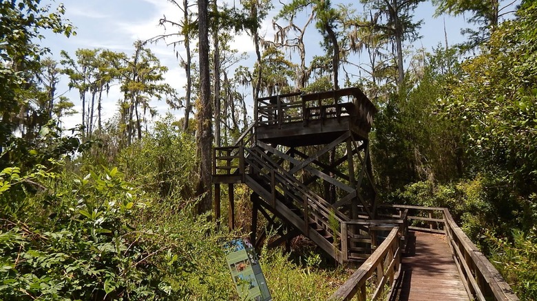 Observation tower surrounded by trees and plants at ﻿﻿Cay Creek Wetlands Interpretive Center in Georgia