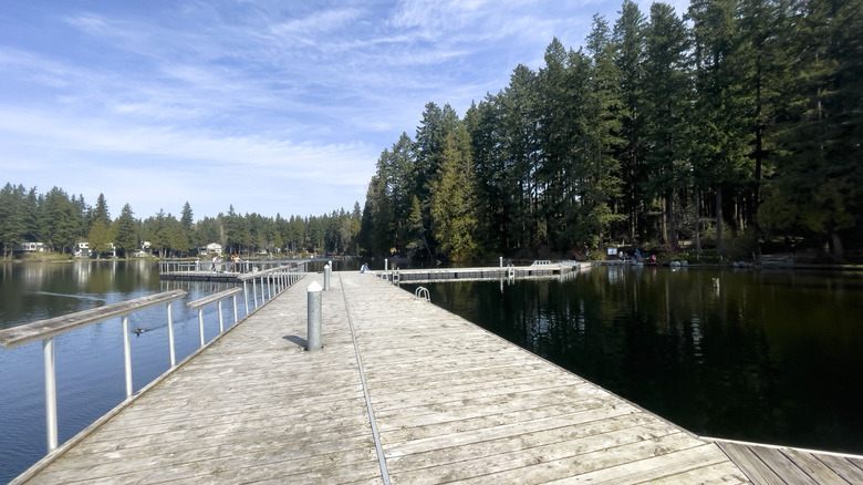 The dock where people go swimming and fishing at Pine Lake overlooking tree and distant lakefront homes.