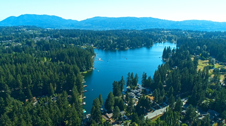 An aerial view of Pine Lake, including its surrounding trees, houses, docks, and Pine Lake Park.