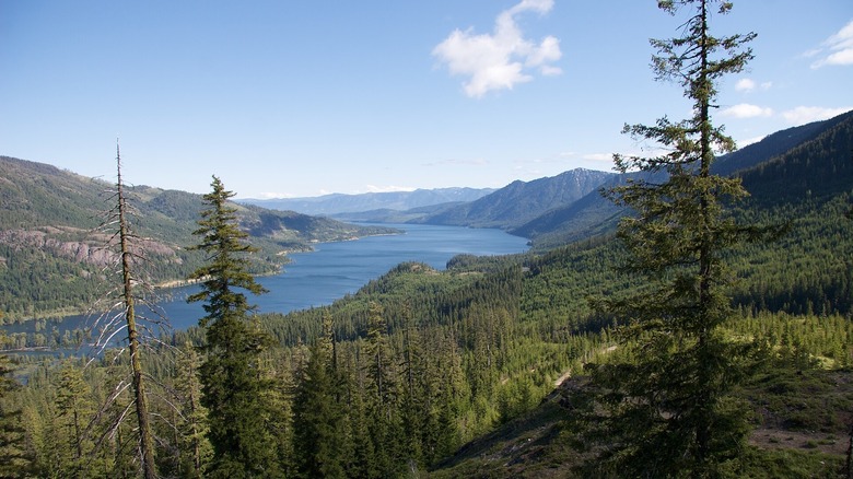 panoramic view of cle elum lake with forests rising along the hills on either side