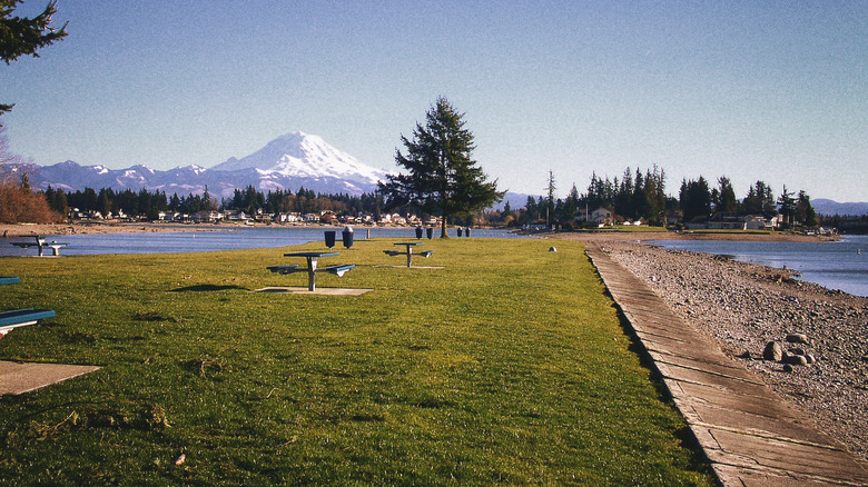 picture of North Lake Tapps Park just outside Tacoma Washington