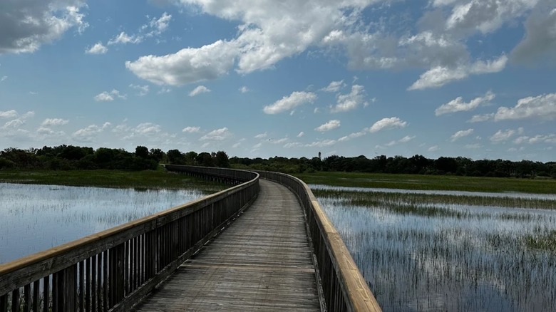View of the wooden boardwalk at Wellington Environmental Preserve