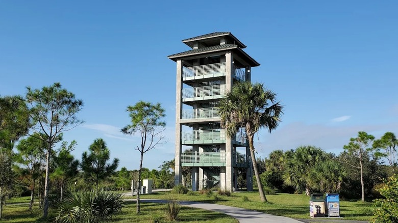 View of the observation tower at Wellington Environmental Preserve