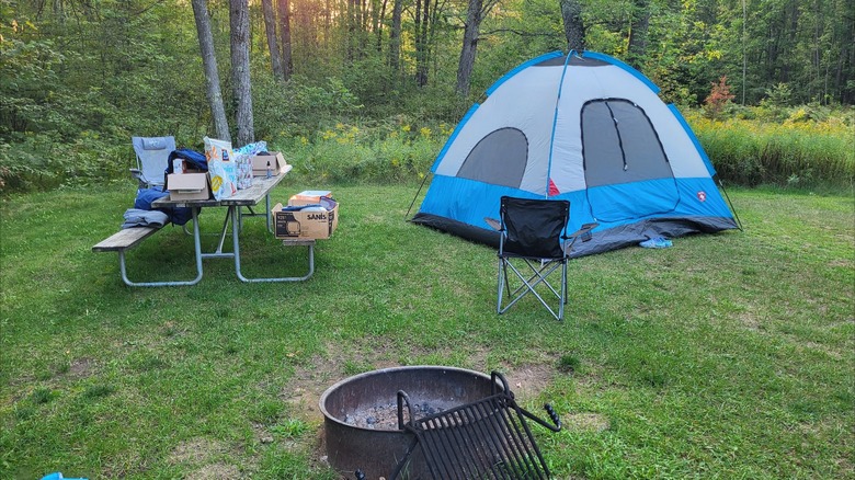 A pitched tent on a grassy campsite with a fire ring and picnic table at Governor Thompson State Park, Wisconsin