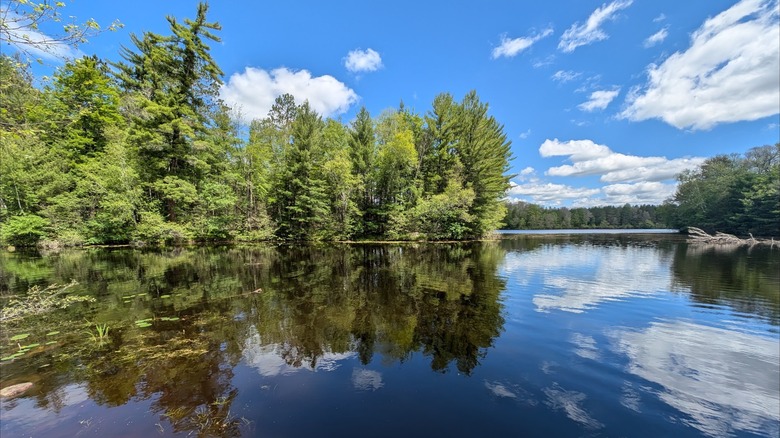 Calm lake with a mirrored reflection of the surrounding trees and cloudy sky at Governor Thompson State Park, Wisconsin