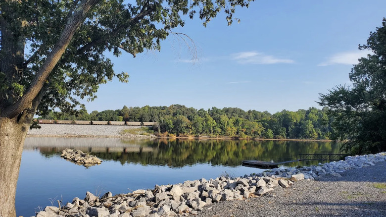 Gravel path and dock overlooking the wooded shores of Lake Shelbyville