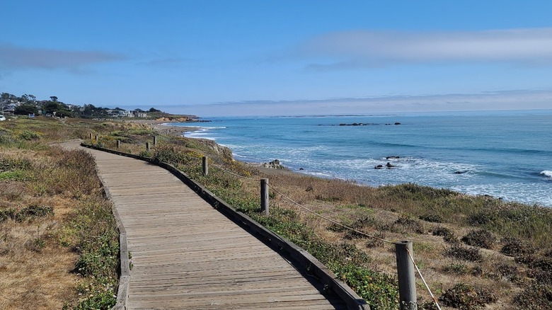 Boardwalk sweeps along the bluff at Moonstone Beach in Cambria, California