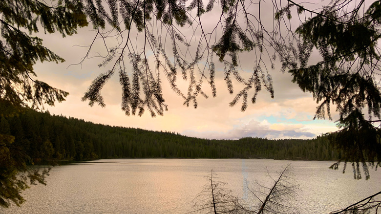 Sugar Pine Reservoir in Tahoe National Forest, California