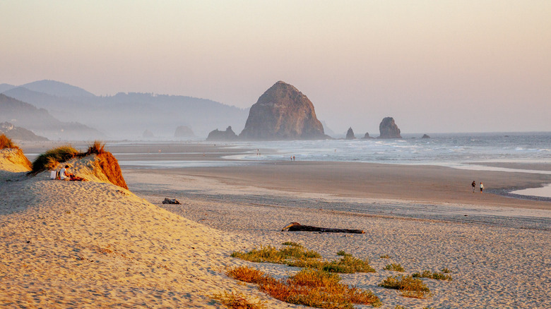 a picturesque beach on the Oregon Coast at sunset