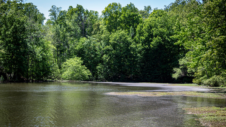 High Point City Lake Park in Jamestown, North Carolina